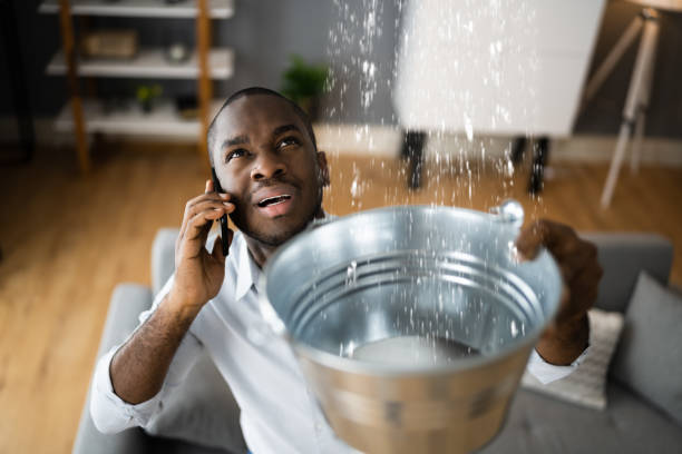 Best Carpet water damage restoration  in Clinton, MI
