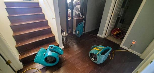 Best Basement water damage restoration  in Clinton, MI
