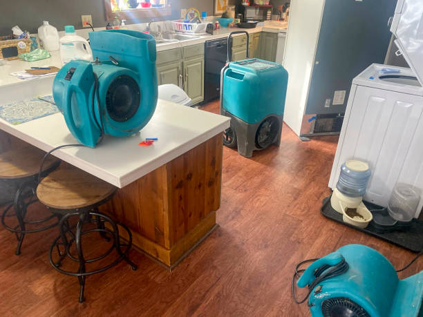 Best Water damage restoration company  in Clinton, MI