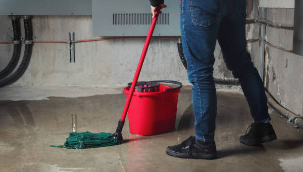Best Emergency water damage restoration  in Clinton, MI
