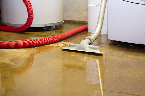 Best Flooded house restoration  in Clinton, MI