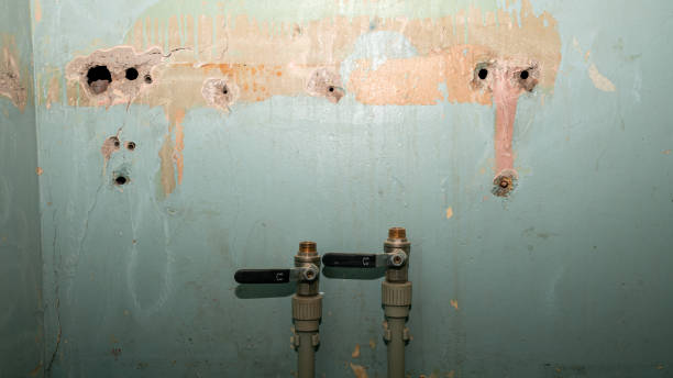 Best Carpet water damage restoration  in Clinton, MI