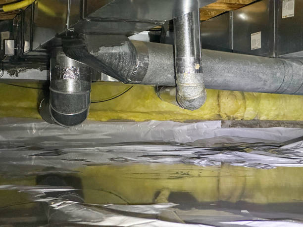 Best Flood damage cleanup  in Clinton, MI