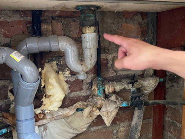 Best Water damage repair service  in Clinton, MI
